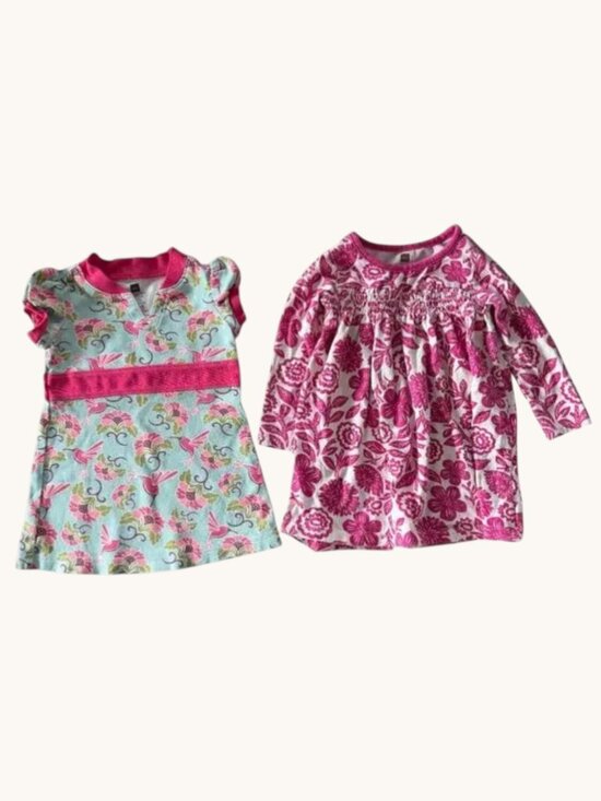 Tea Collection Other - Tea Collection 2-Piece Floral Dress Bundle Girls 12-18M